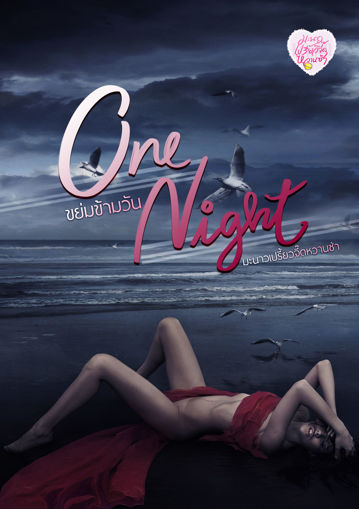 รูปภาพของ One Night ขย่มข้ามวัน (3P)