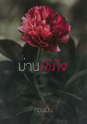 รูปภาพของ ม่านรักร้าย