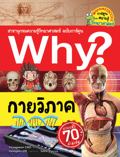 รูปภาพของ Why? กายวิภาค