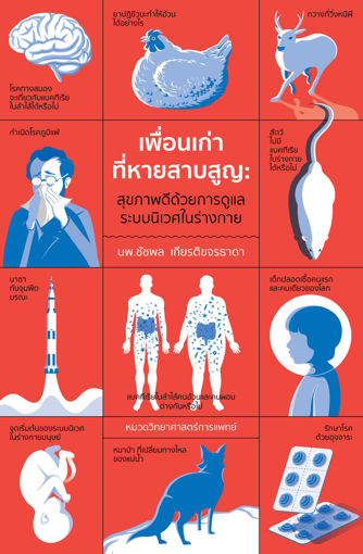 รูปภาพของ เพื่อนเก่าที่หายสาบสูญ